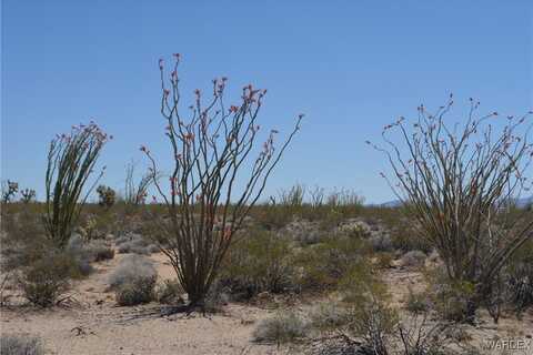 S Cortaro Road lot: 205, Yucca, AZ 86438