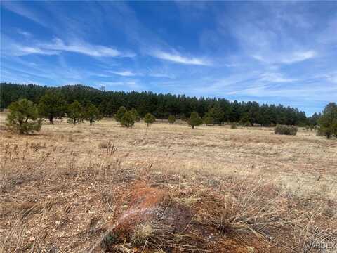 603 N Cool Pines Road, Williams, AZ 86046