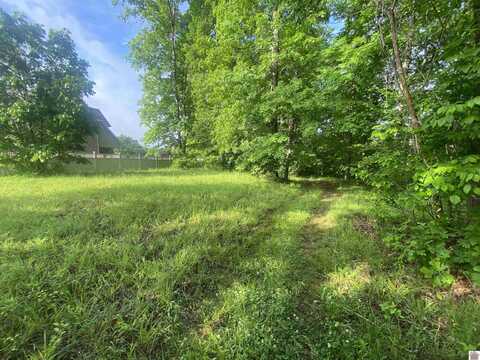 020 Cayuga Drive, Cadiz, KY 42211