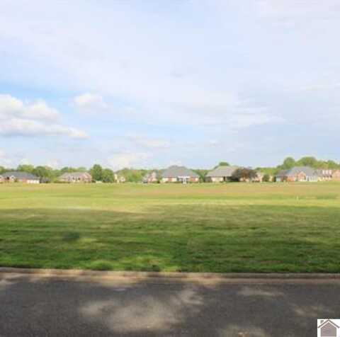 Lot 35 Summerlin DR, Ledbetter, KY 42058