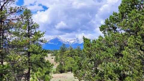 TBD 20th Trail, Cotopaxi, CO 81223