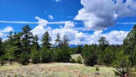 TBD 20th Trail, Cotopaxi, CO 81223