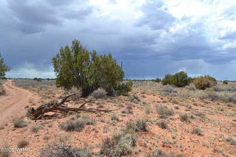 Lot 020b E 24th N Street, Snowflake, AZ 85937