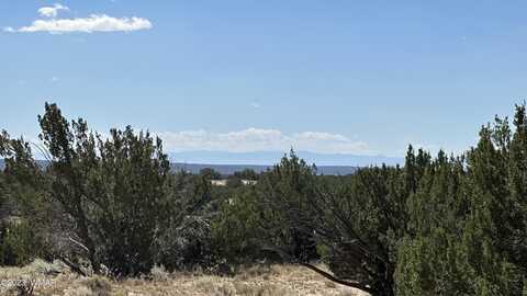 Acr 7230, Saint Johns, AZ 85936