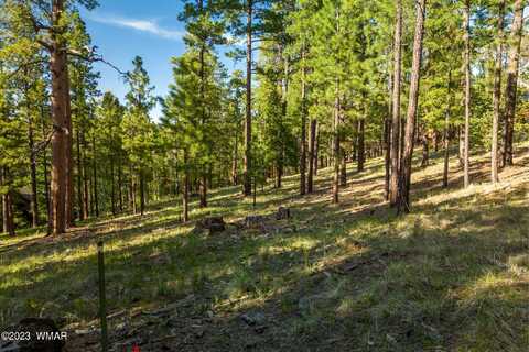 9 N1064, Greer, AZ 85927