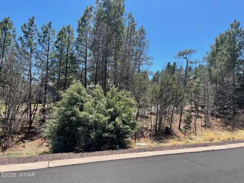2621 Marshalls Run, Show Low, AZ 85901