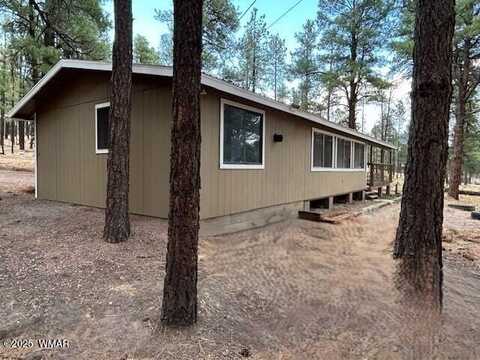 6 County Rd N2127, Alpine, AZ 85920