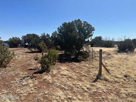 2315 Sitgreaves Street, Show Low, AZ 85901