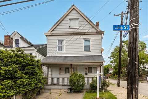 17 Lelia St, Mount Washington, PA 15211