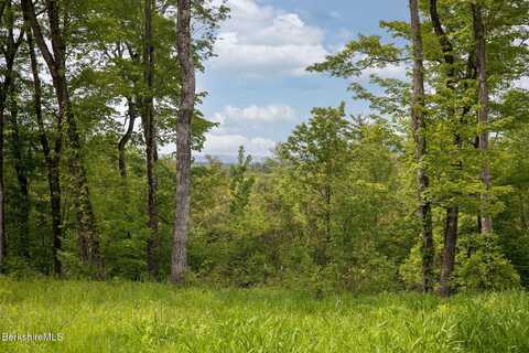 Lot 7 New Marlborough Hill Rd, New Marlborough, MA 01230