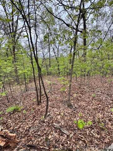 Tbd Tract 2 Side Kick Drive, Camdenton, MO 65020