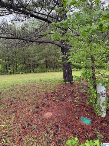 940 LEGACY COVE, SPRINGVILLE, AL 35146