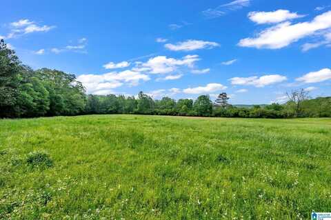 6245 THOMPSON ROAD, ALTOONA, AL 35952