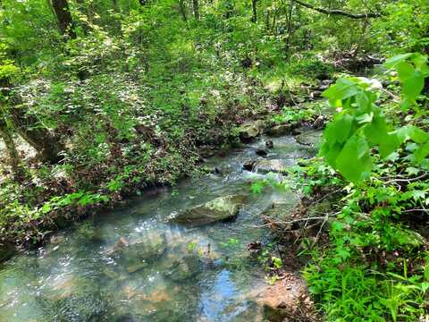 000 Flat Rock Road, Mountain View, AR 72560