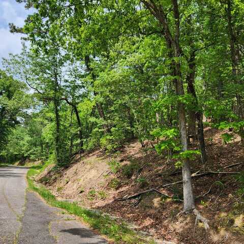 Union Street, Hot Springs, AR 71901
