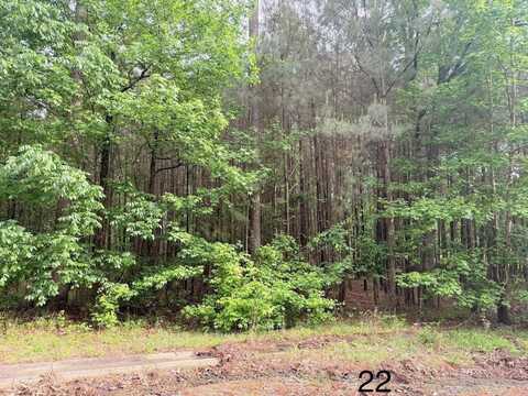 Spruce Cv (Lot 22), Monticello, AR 71655