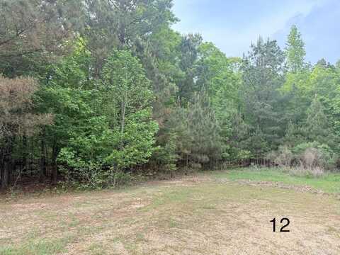 10 Point Ln (Lot 12), Monticello, AR 71655