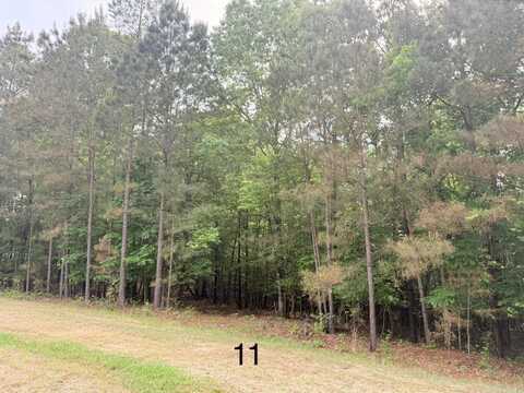 10 Point Lane (Lot 11), Monticello, AR 71655