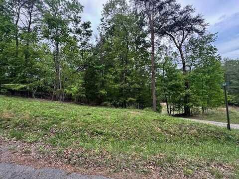 0 Maple Drive, Spring City, TN 37381