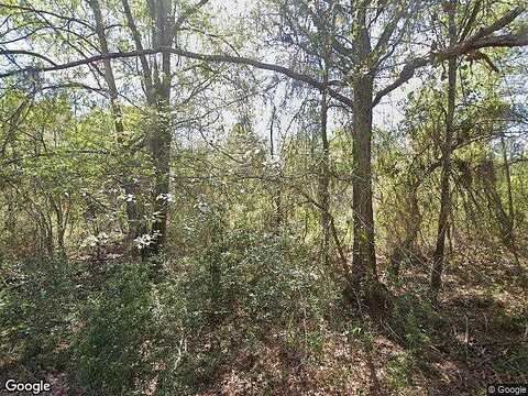 Carteret, GEORGETOWN, FL 32139