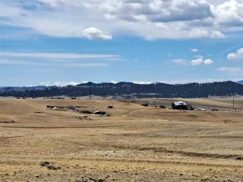205 Clear Creek Court, Hartsel, CO 80449