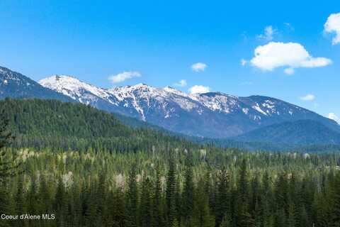 295 Old Range Rd, Clark Fork, ID 83811