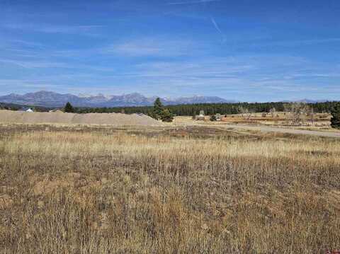 219 Prospect Boulevard, Pagosa Springs, CO 81147