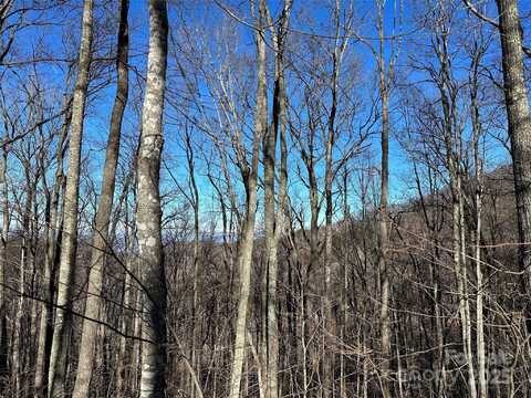 000 Macallan Drive, Waynesville, NC 28786