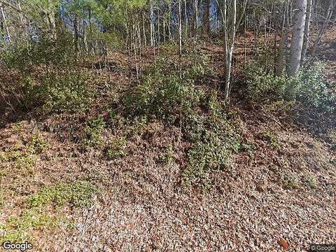 Bridge Creek, TIGER, GA 30576