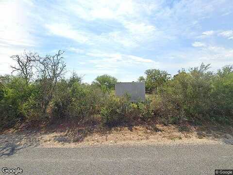 Armadillo, PEARSALL, TX 78061