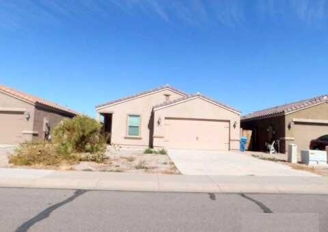 Aster, FLORENCE, AZ 85132