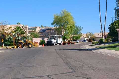 Crystal, GILBERT, AZ 85234