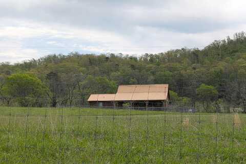 Dogtown, TEN MILE, TN 37880