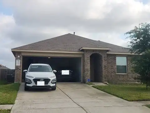 Picea Azul, CHANNELVIEW, TX 77530