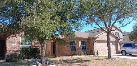 Osprey Landing, HOCKLEY, TX 77447
