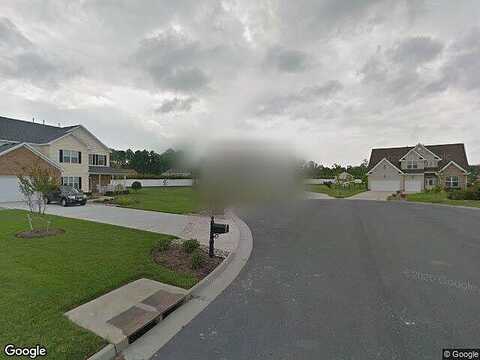 Betula, VIRGINIA BEACH, VA 23456