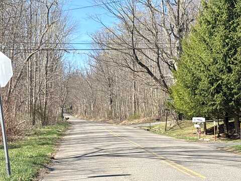 Wilson Hill, BINGHAMTON, NY 13905