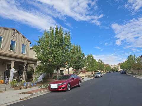 Aster, SANTA CLARITA, CA 91350