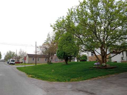 Mulberry, PINCKNEYVILLE, IL 62274