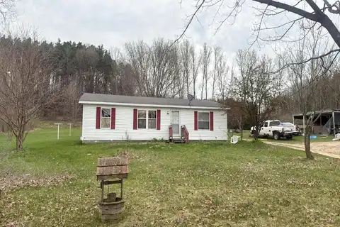 Buchanan, SHELBY, MI 49455