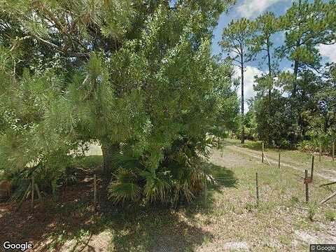 Pine Needle, MIMS, FL 32754