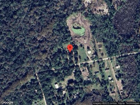 Pine Needle, MIMS, FL 32754