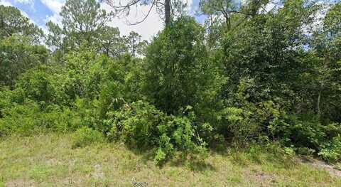 Tweed, LEHIGH ACRES, FL 33972