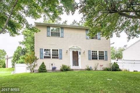 Sunflower, WESTMINSTER, MD 21157