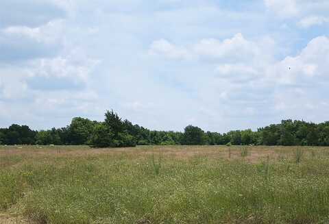 County Road 3520, Pecan Gap, TX 75469