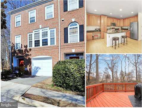 Winscombe, FAIRFAX, VA 22030