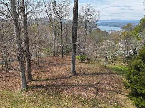 Lot 12 Chatuge Cove Drive, Hayesville, NC 28904