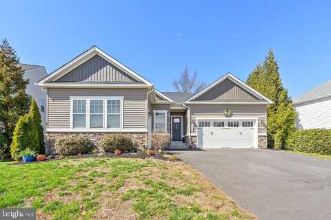 Canyon, WINCHESTER, VA 22602