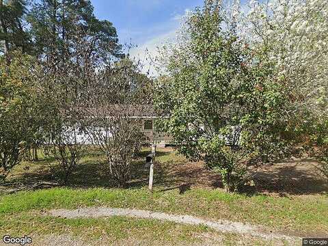 Chestnut, VIDOR, TX 77662