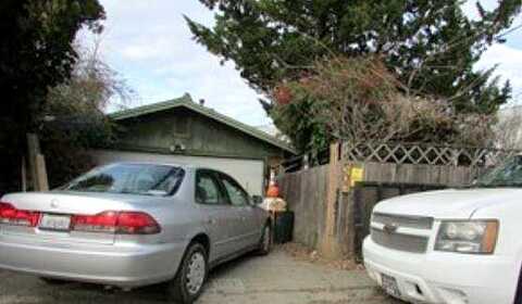 Maple, GARBERVILLE, CA 95542